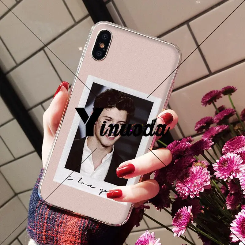 Hit pop singer Shawn Mendes love