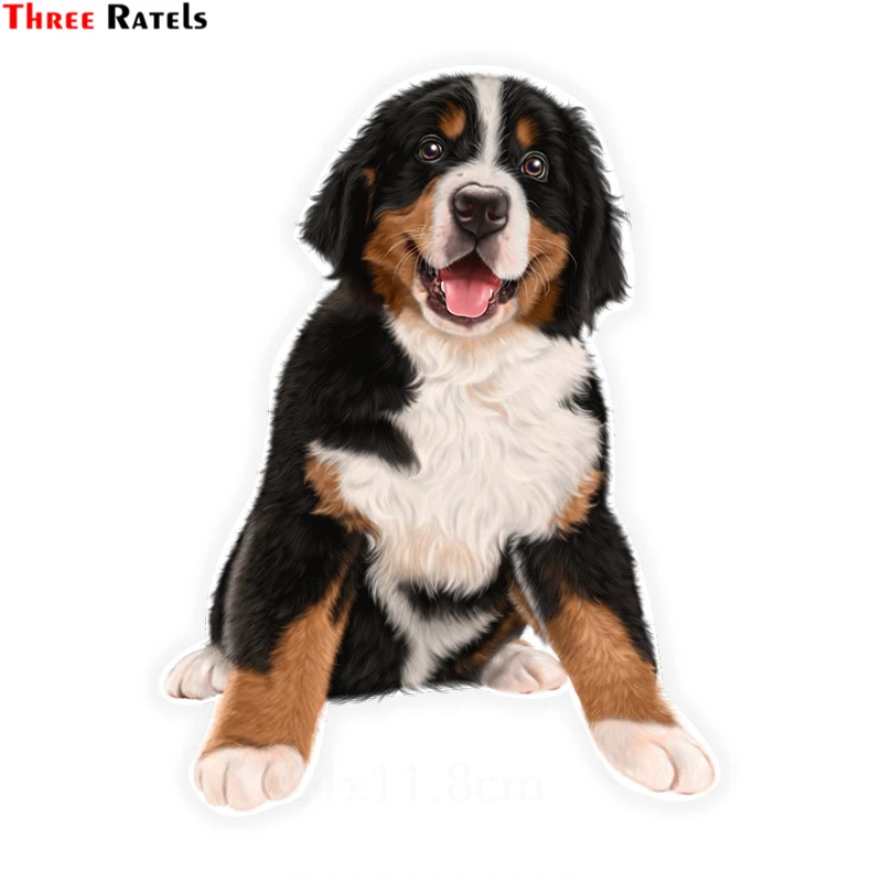 

Three Ratels LCS351# 11.5x15.3cm Saint Bernard Dog colorful car sticker funny car stickers styling removable decal