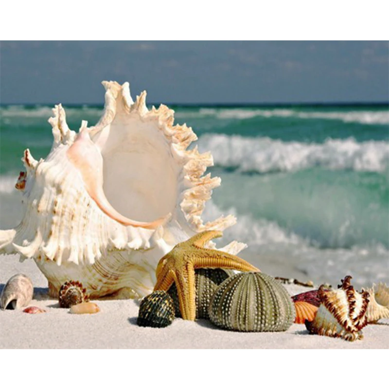 Conch picture Diy full diamond painting cross stitch kits 5D embroidery mosaic pattern home decor new year gift | Дом и сад