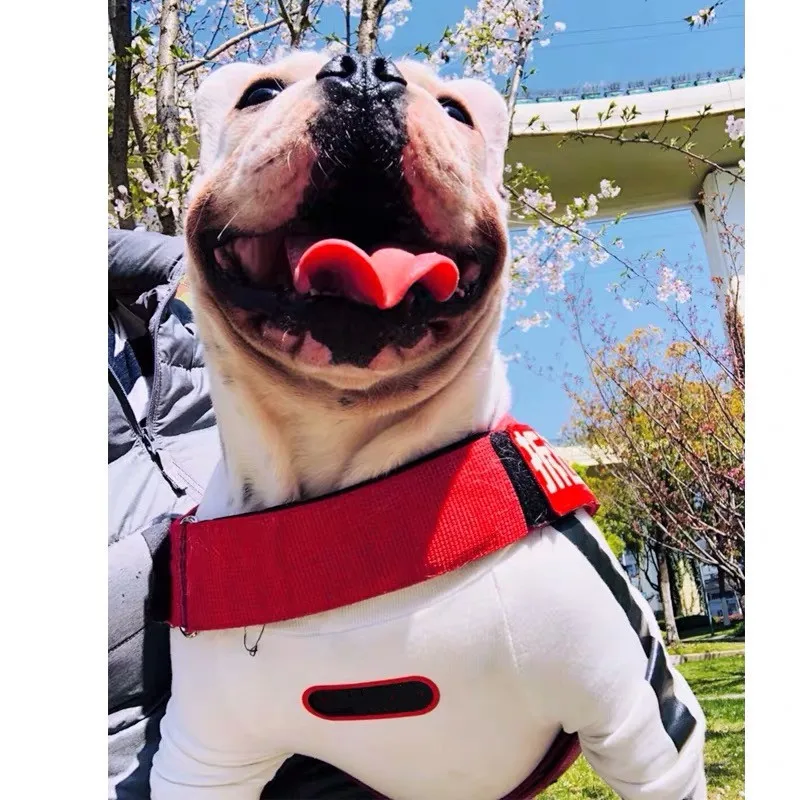 Tide Brand Dog Summer T-shirt Vest for Small Medium Dogs French Bulldog Yorkshire Teddy Pug Pet Clothes Puppy Costume GDC01