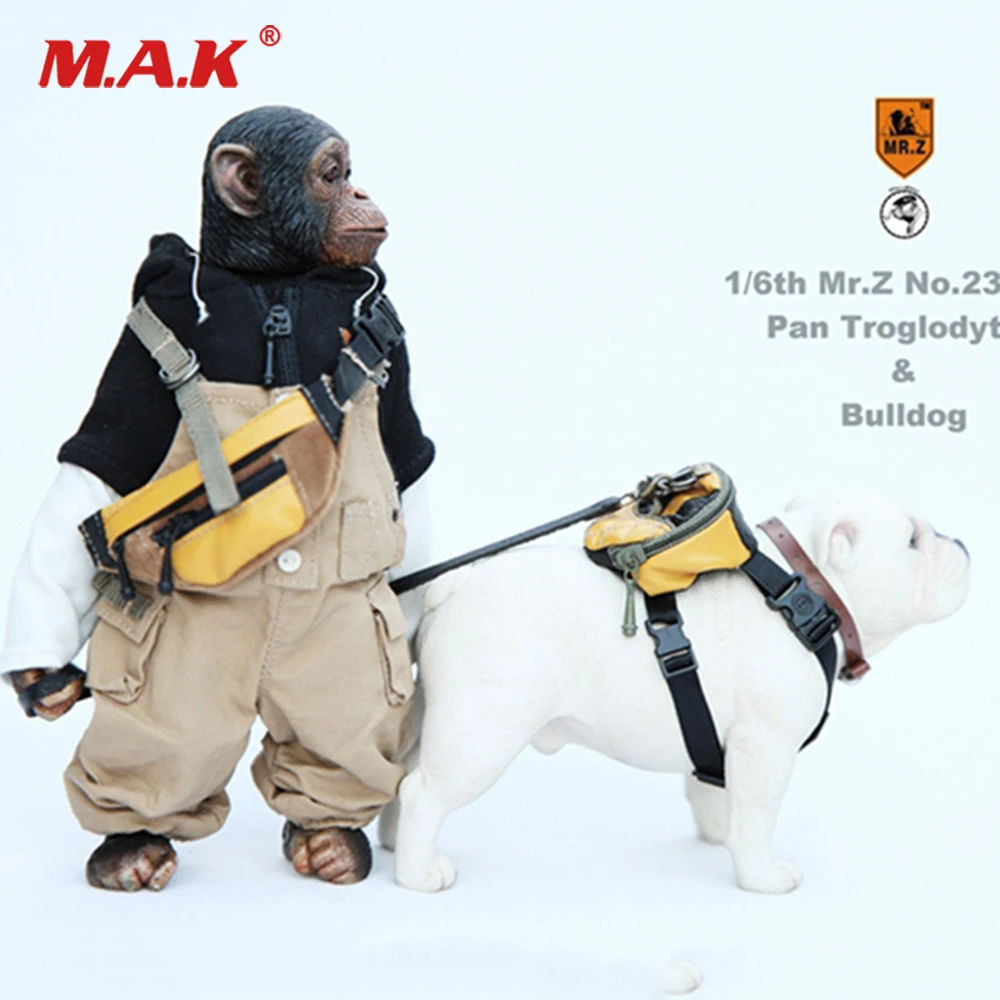 

1/6 Scale Figure Scenes Accessory Mr.Z Animal Model no.23 Ratio Chimpanzee and Bulldog with Clothes Model for 12'' Action Figure
