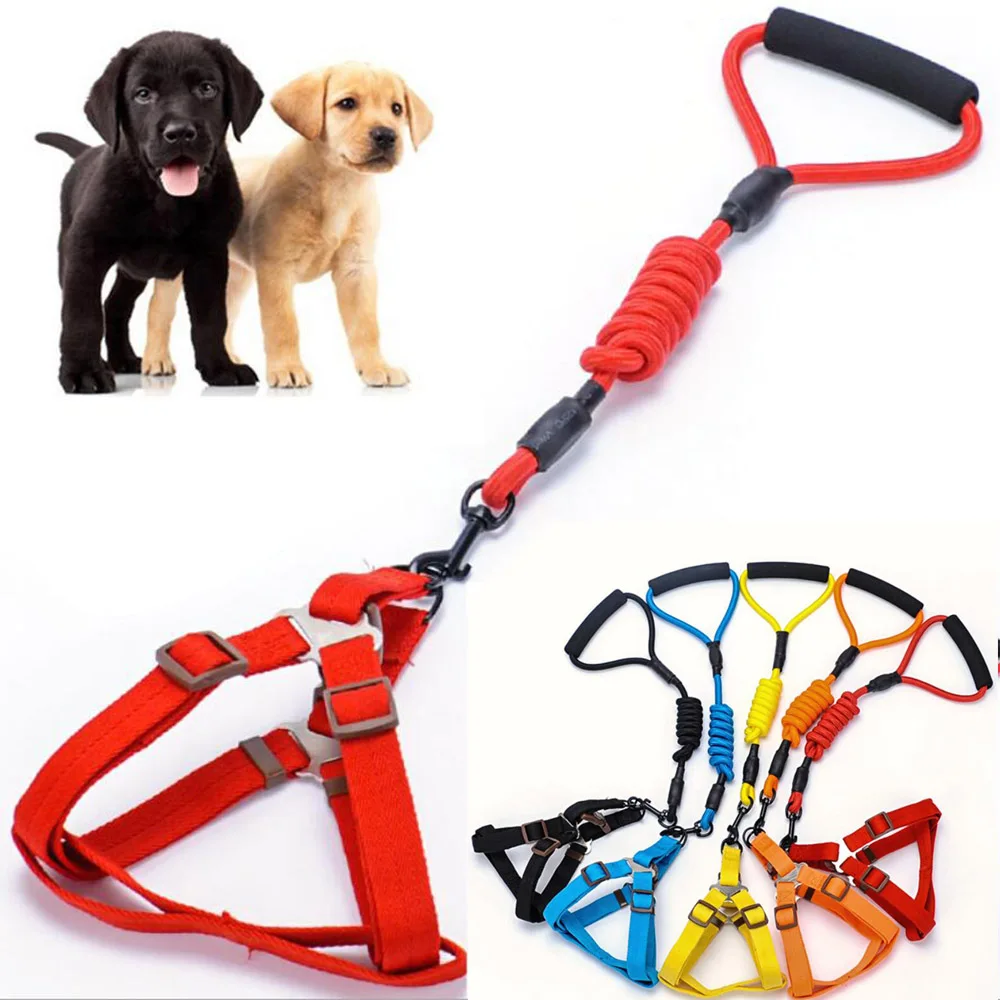 PET006.1