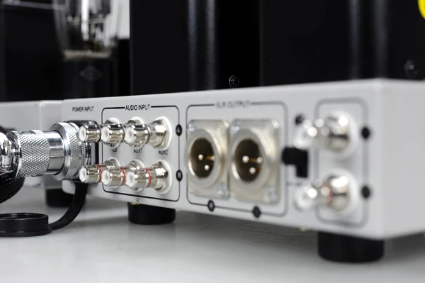 Raphaelite CR01 Hi-Fi аудио предусилитель 101 усилитель вакуумной трубки моноблок предamp-amp пара с защитным чехлом