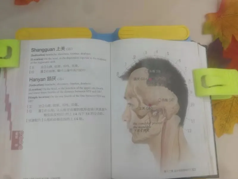 微信图片_20190629104309