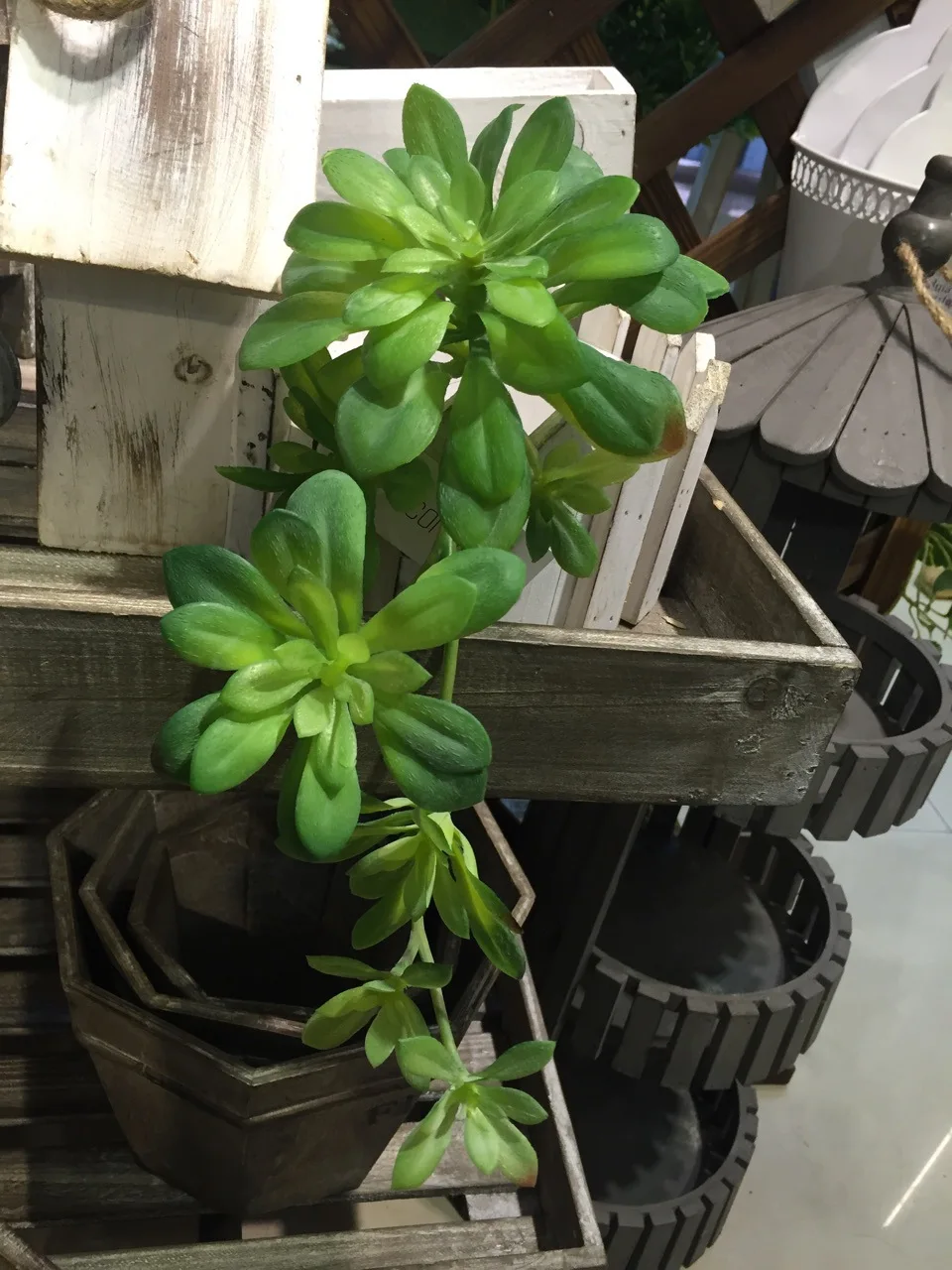 28 см длина искусственного суккулента Aeonium arboreum lotus свадебное украшение|artificial