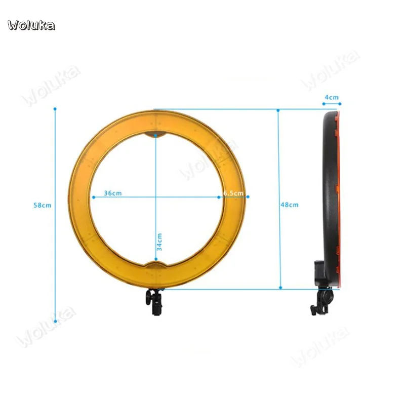 36020190131152405160