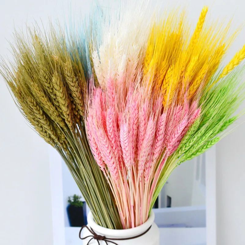 

50Pcs Real Dried Wheat Ear Flower Natural Dried Wheat Bouquet For Wedding Party Decoration DIY Craft Scrapbook Home Decor