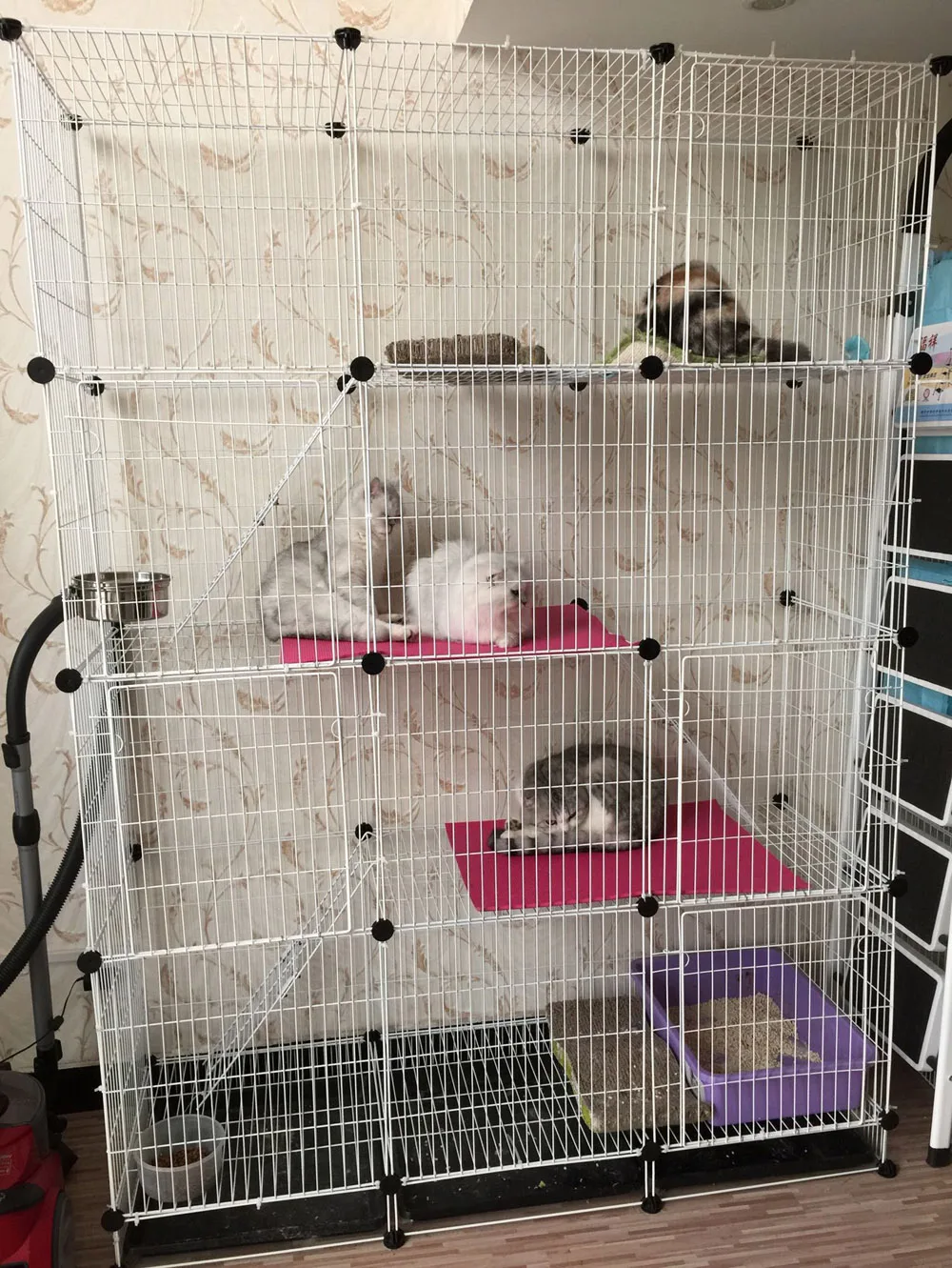 Longuetroislargeundequatretagesgrandchatcagechatterieddi