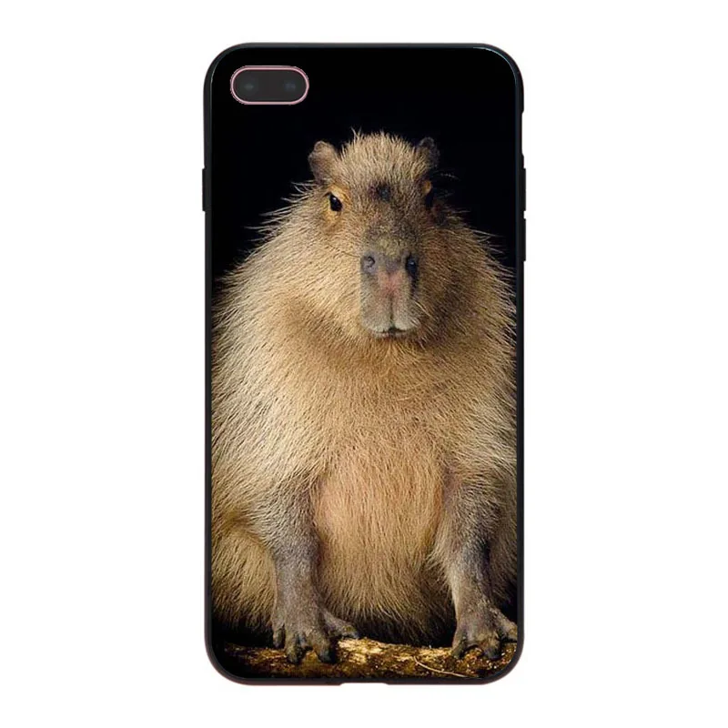 MaiYaCa Animal Funny Capybara Специальное предложение Роскошный чехол для телефона iPhone 8 7 6 6S Plus X XS XR XSMax 5 5S SE Coque Shell