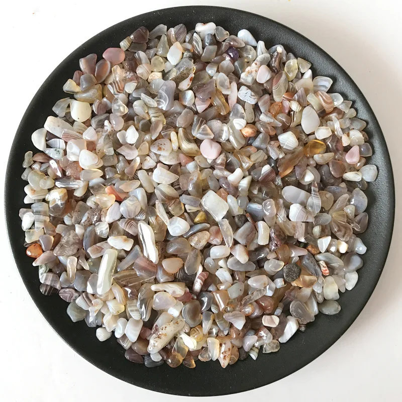 8592681082_1119757352