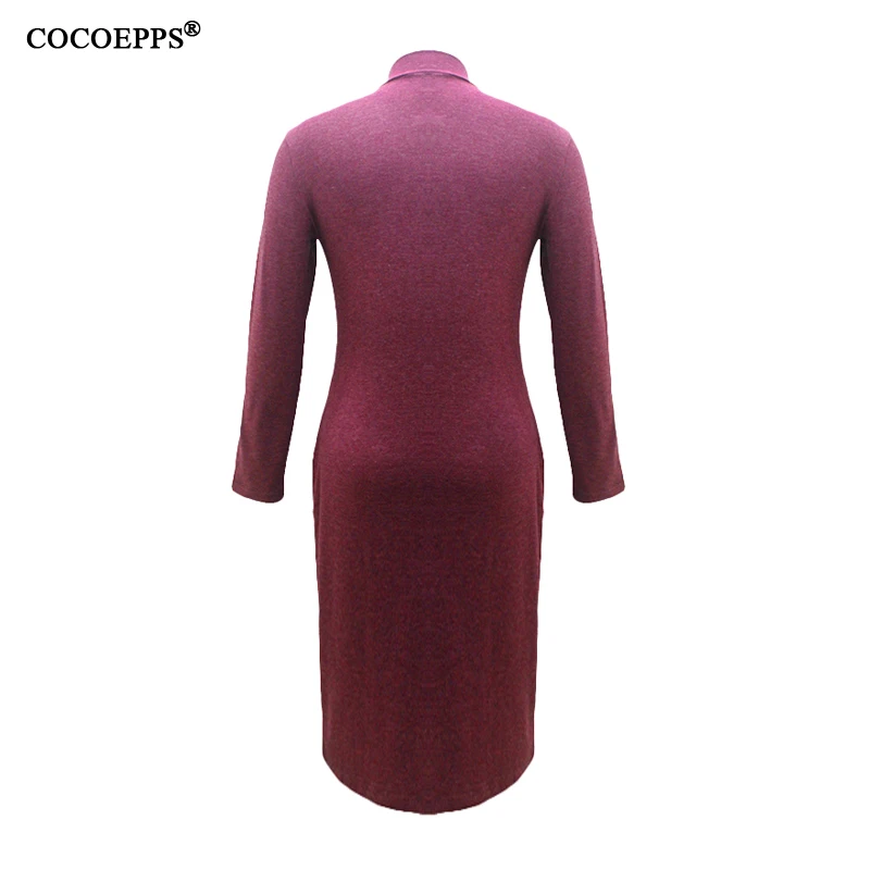 COCOEPPS15