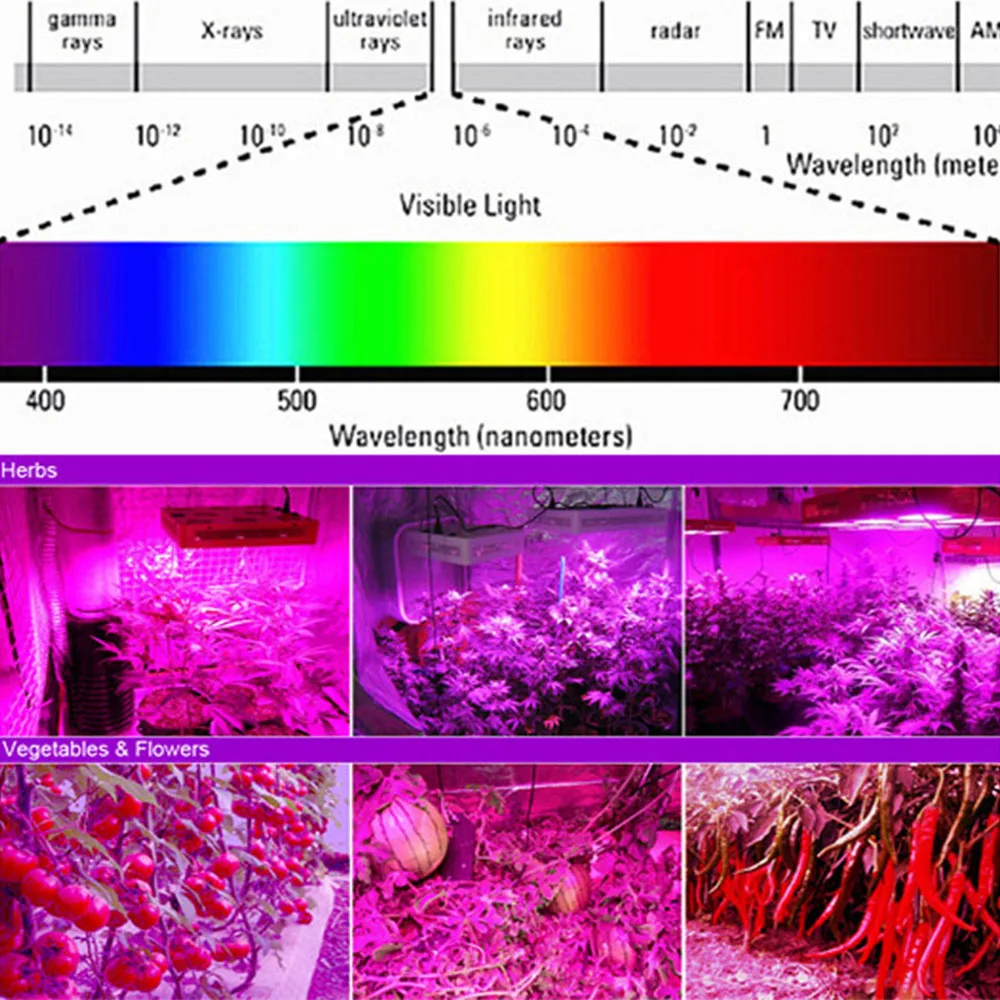 Светодиодная лампа для выращивания COB чип полный спектр 10 Вт 20 Вт 30 Вт 50 Вт Красный 640нм синий 460нм светодиодный светильник для выращивания led чип для выращивания растений