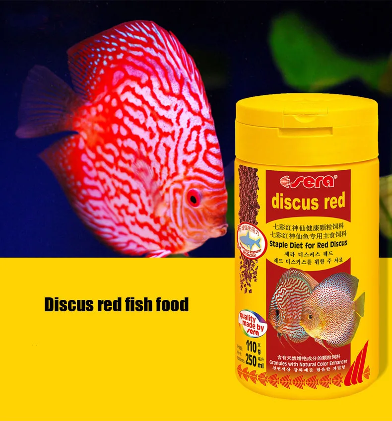 

Sera Discus fish food aquarium Pigeon Blood Discus Hi-fin Hi-form Cobalt Blue Turquoise small tropical fish food feed