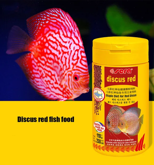 sera discus fish food