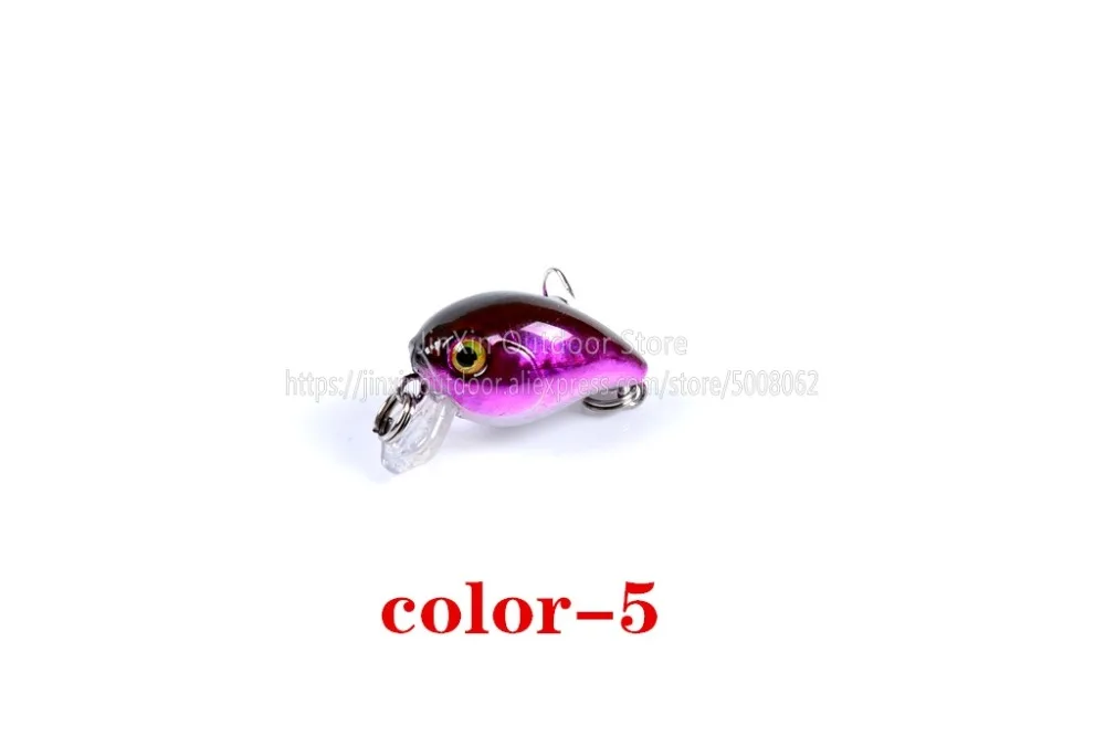 C (5)