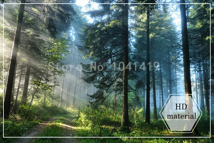 De Parede, Foto Mural, Backdrop Wall Design, Sala e Quarto