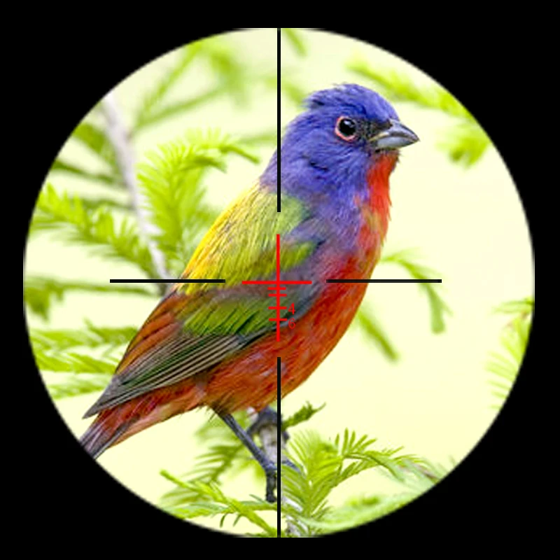 reticle 