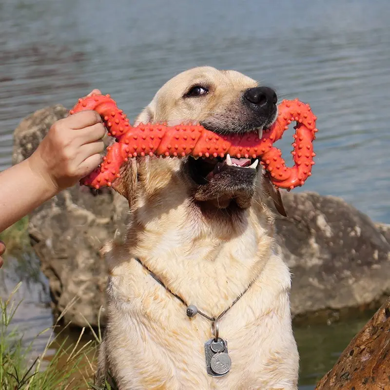 

Dozzlor 1pc TPR Pet Toy Strong Bite-Resistant Dog Bone Rubber Pet Dog Toy Cleaning Chewing Training Pet Toy Suitable For Puppies