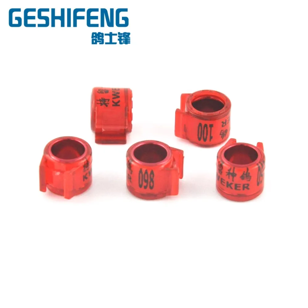 

2019 Cheap China Making Pet Feet Tag Dutch Racing Pigeon Ring Pigeon