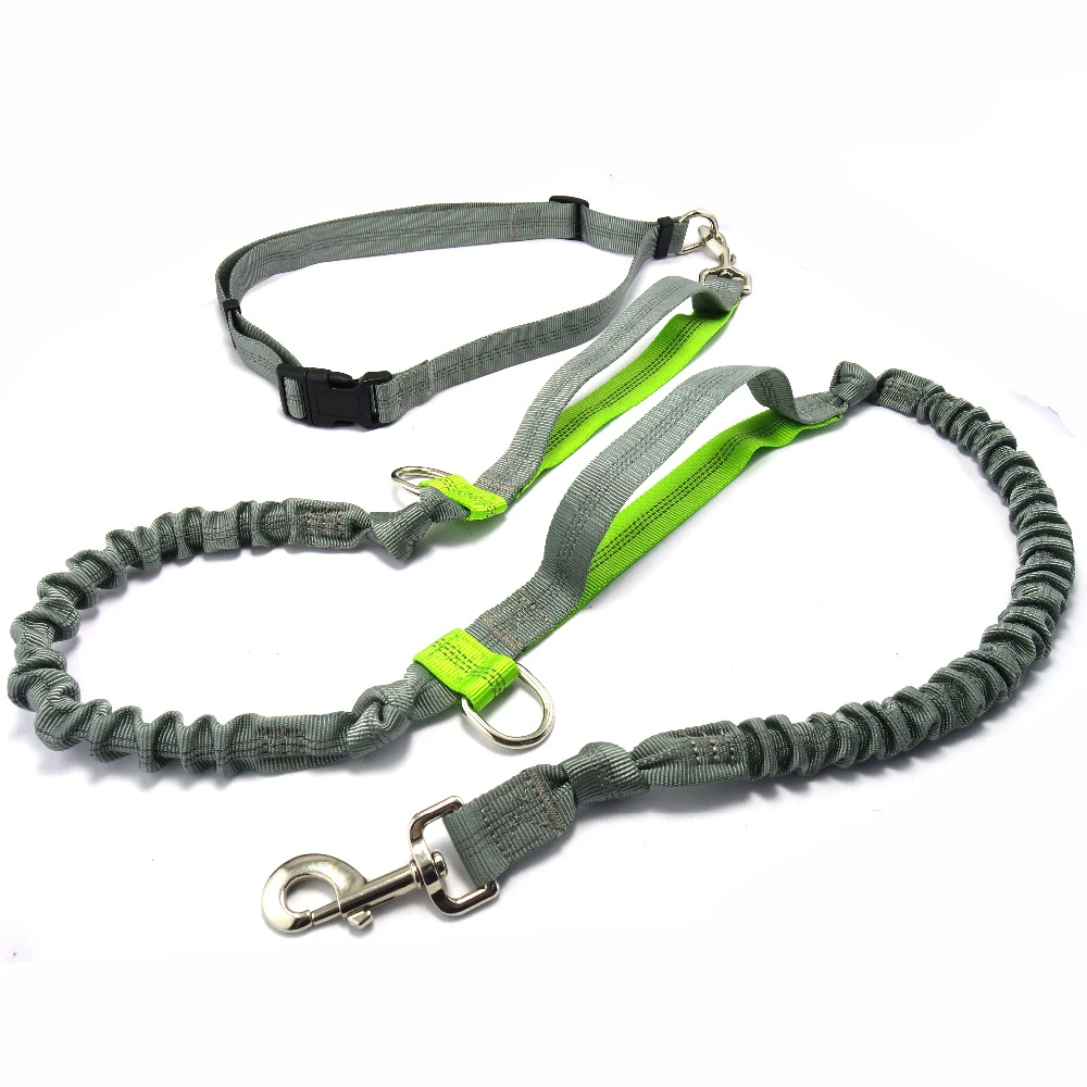quick release dog leash