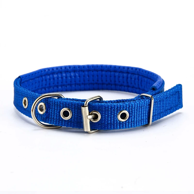 dog collar for dogs (2)