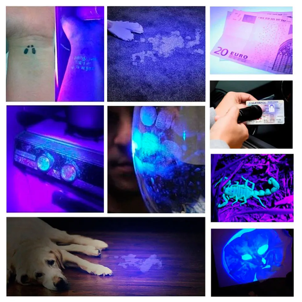 Zoomable 395nm UV Light Penlight Black Light Scalable Clip Pen Light Flashlight 