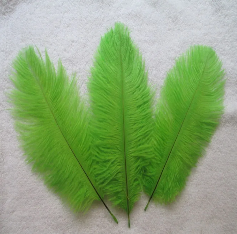 Hot! 100Pcs/lot Natural 15 20cm 6 8 inch green Color Ostrich Feathers