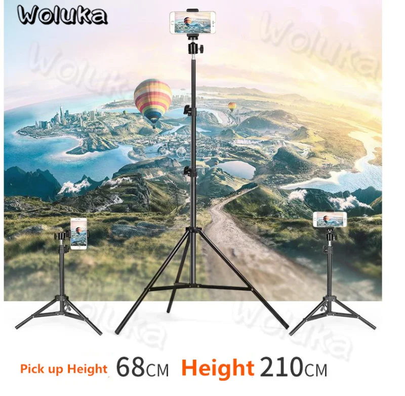 36020190103144000041