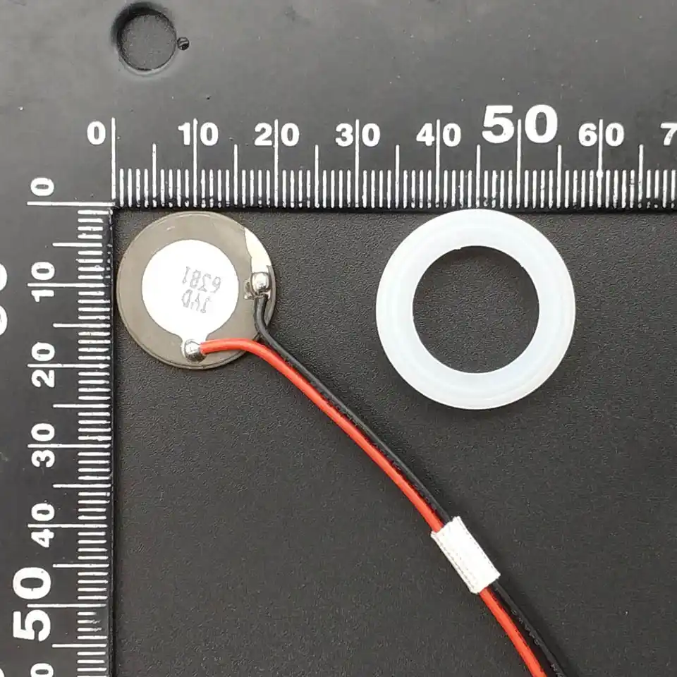 Amazon Com 16mm Ceramic Ultrasonic Mist Maker Replacement Discs Teflon Coated Pond Foggers Garden Outdoor