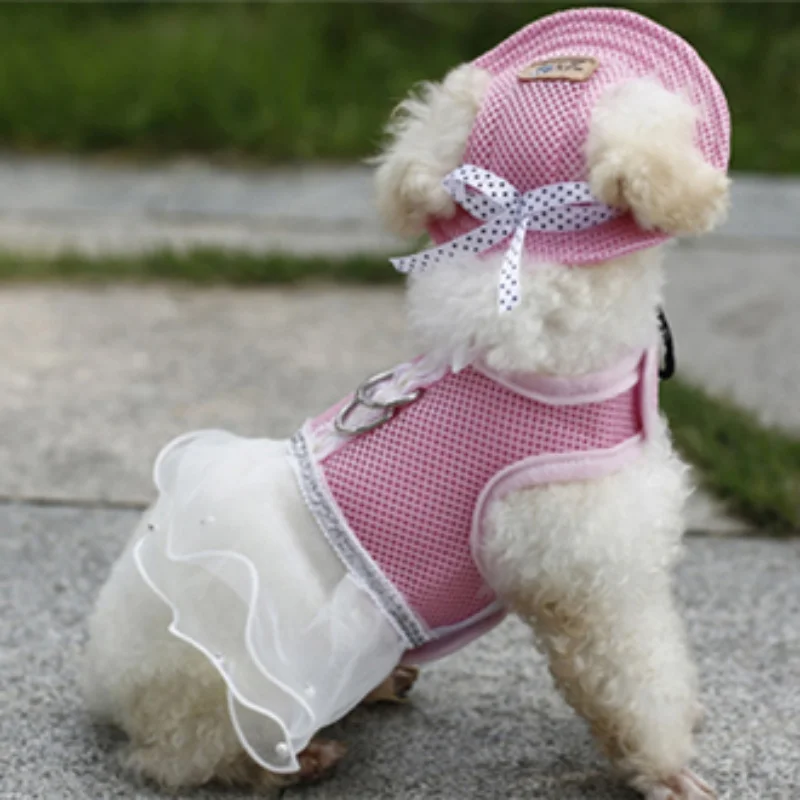 Летнее платье для домашних животных; Сетчатое мягкое дышащее платье; ошейник-воротник для щенков; поводок; Одежда для собак