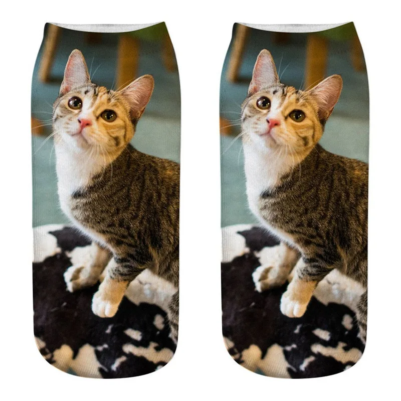 Dreamlikelin/милые женские носки с 3D принтом в виде кошки 27 стилей, персидский кот, Ragdoll, забавные носки до лодыжки для женщин, детей