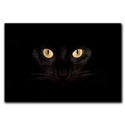 

Modern Funny Cat Rubber Doormat For Entrace Front Door Mat Outdoor Rug Welcome Home Bathroom Kitchen Floor Non Slip Dust Carpet