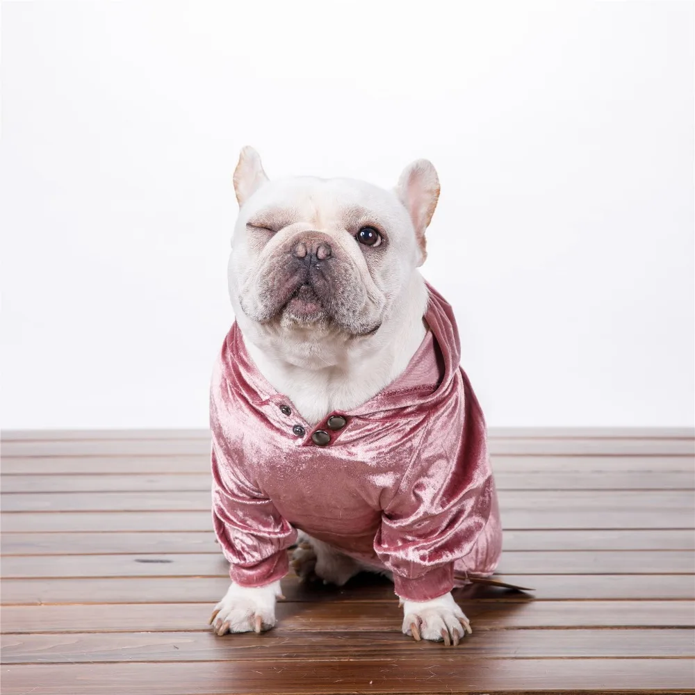 Buy Velvet Dog Pet Cat Hoodie Shirt Small Medium Dog