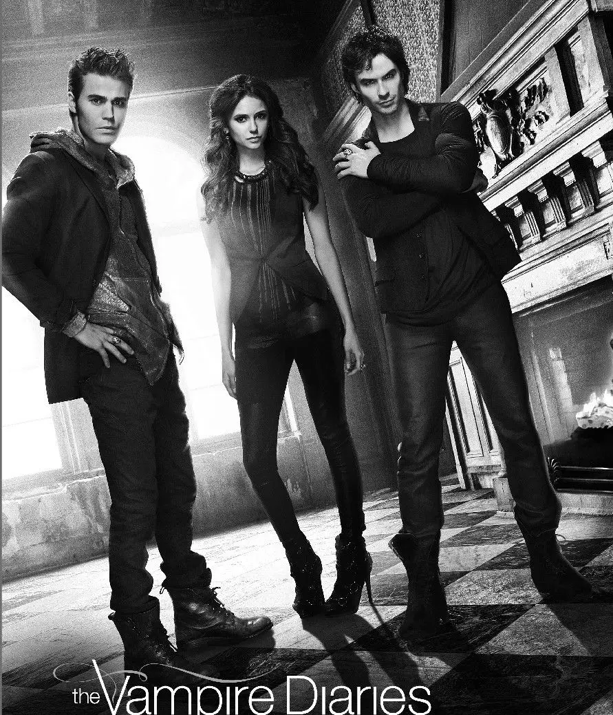 Home Decor The Vampire Diaries TV Show-Silk Art Poster Wall Sicker Decoration Gift