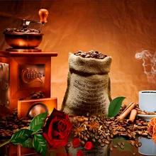 Кофейные бобы DIY живопись по номерам 24 Цвета Пигмент кисть Искусство Ручная роспись креативная цифровая картина маслом