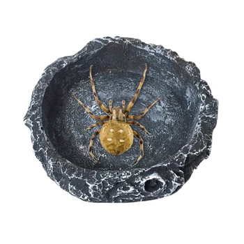 

Pets Feeding Plate Resin Bowl Reptile Feeding Food Water Tray Dish, Easy To Clean