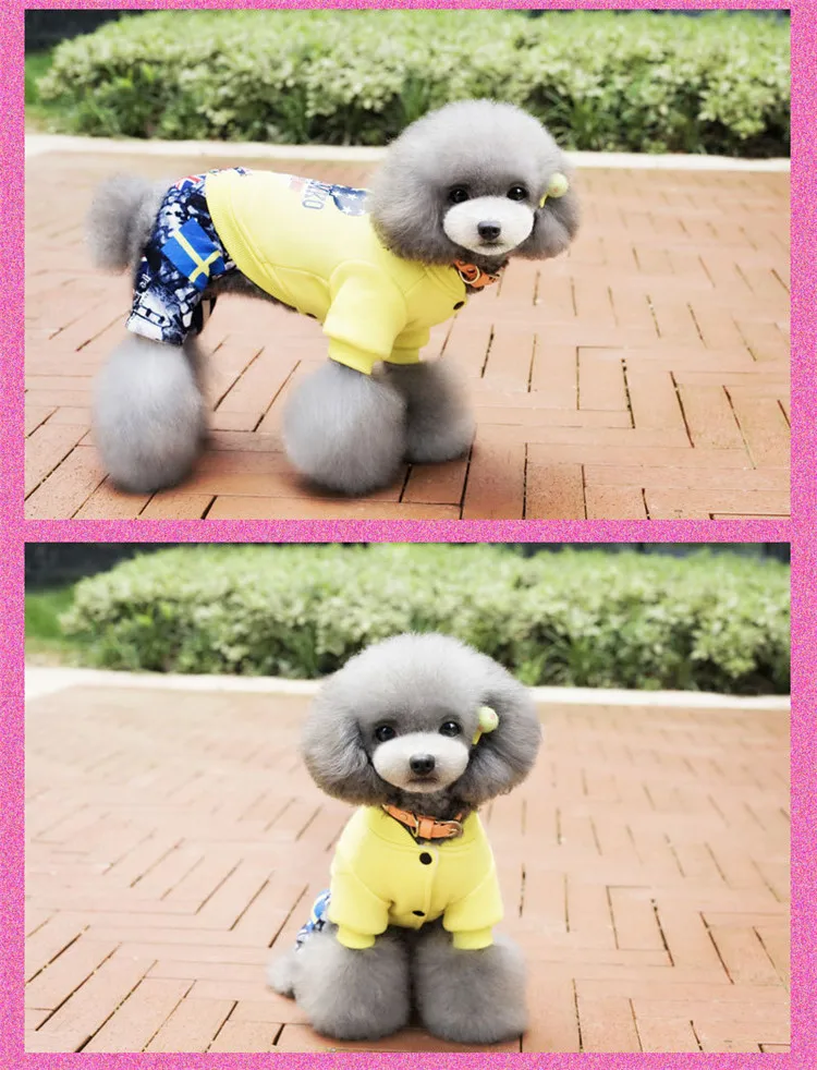  dog clothing 25