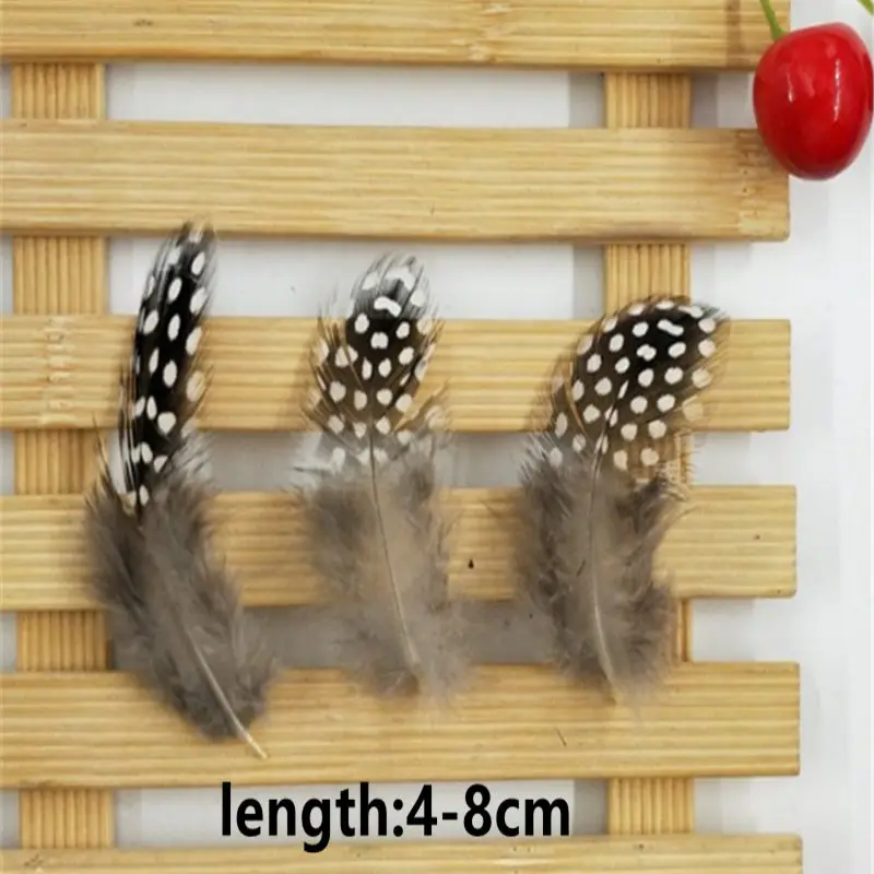 M0894~8cm_