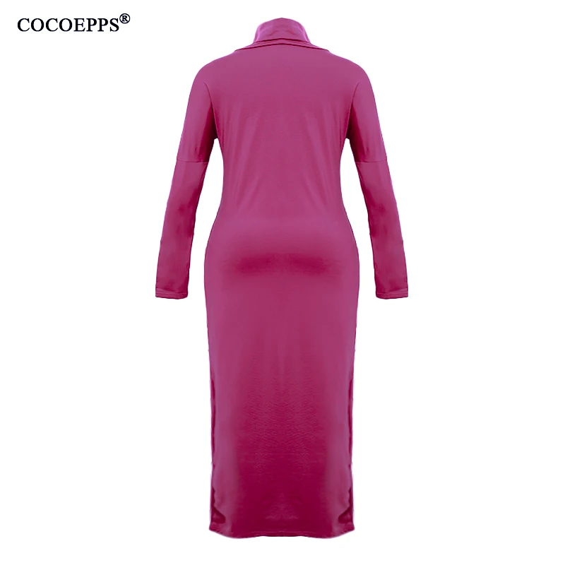 COCOEPPS3_1