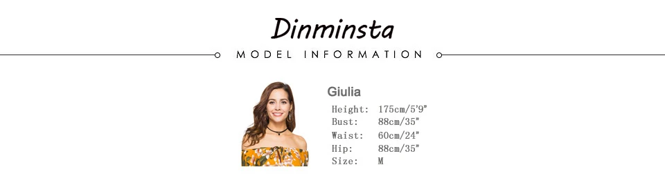 model information