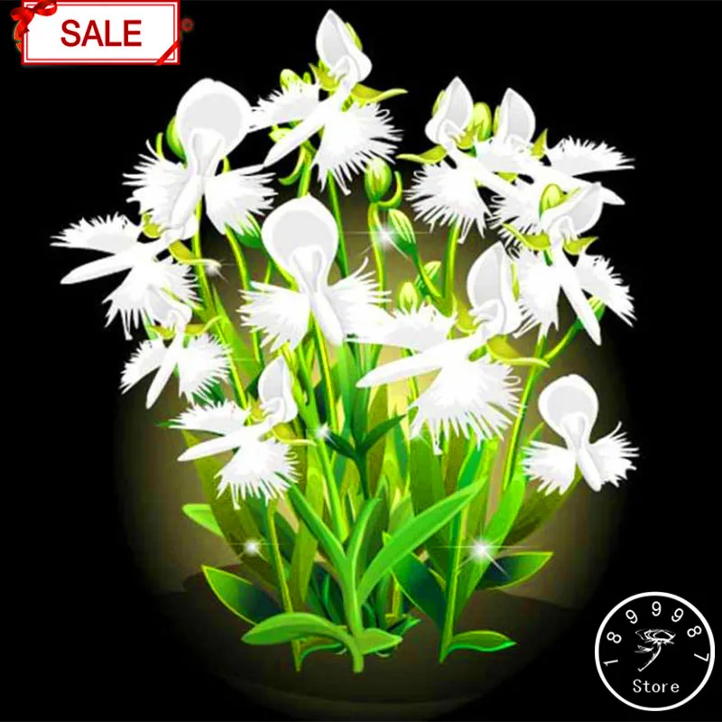 

New Arrival!Egret Flower bonsai Perennial Flowering Plants Potted garden Interesting Plants 50 Pcs/pack,#U174GH