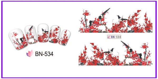 BN-534