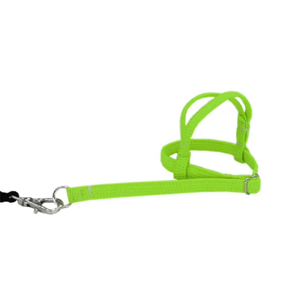 Pet шлейка для птицы регулируемый поводок для попугая жгут тренировочный канат Летающий ленточный птичий канат для тренировок на открытом воздухе - Цвет: Green