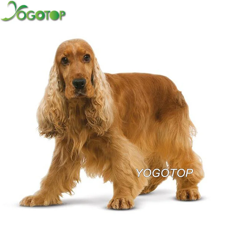 

YOGOTOP DIY Diamond Painting Cross Stitch Poodle English Cocker Spaniel 5D Embroidery pet Dog Full Drill Mosaic Home Decor QA337