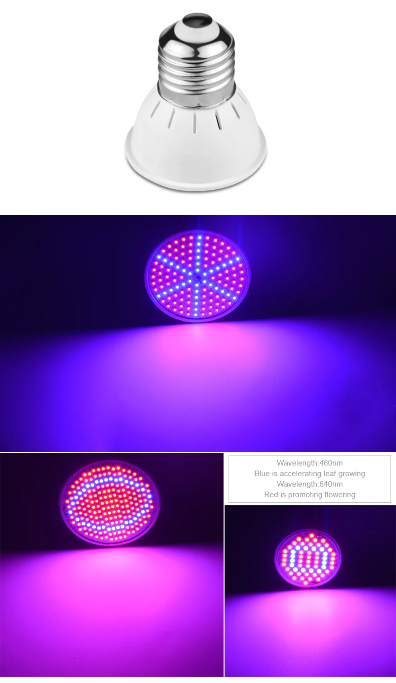 product_09