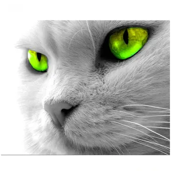 

DIY Diamond Painting Green eye cat Needlework Full round Diamond embroidery Pattern home Decoration mosaic Painting Icon