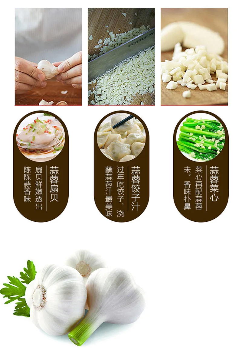 Garlic Presses  kit (11)