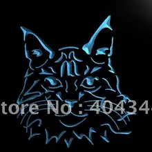 LB989-Кот Мейн Кун Kitty Дисплей свет знак домашнего декора ремесла