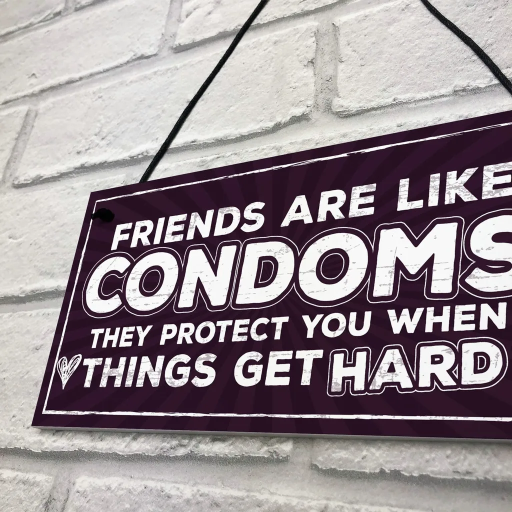 Funny Rude Friendship Sign Best Friend Gift Novelty Birthday Hanging