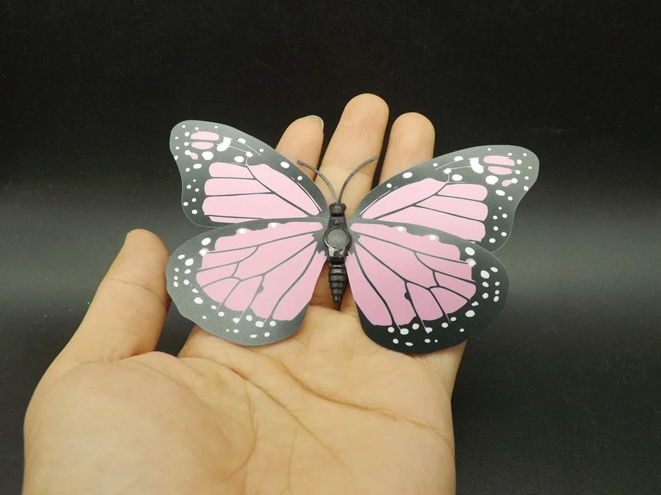 I242-Butterfly (4)